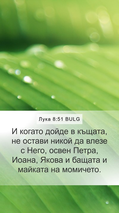 Лука 8:51 BULG Mobile Phone Wallpaper - И когато дойде в къщата, не - Mobile Bible Verse Wallpaper