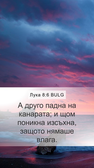 Лука 8:6 BULG Mobile Phone Wallpaper - А друго падна на канарата; - Mobile Bible Verse Wallpaper