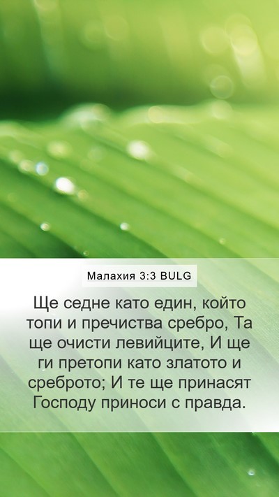 Малахия 3:3 BULG Bible Verse Image