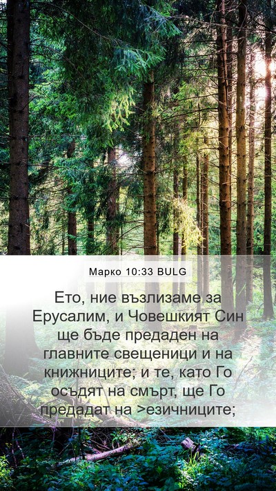 Марко 10:33 BULG Bible Verse Image