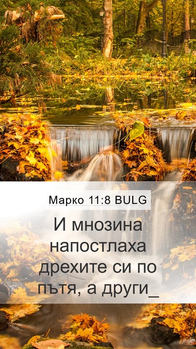 Марко 11:8 BULG Mobile Phone Wallpaper - И мнозина напостлаха - Mobile Bible Verse Wallpaper