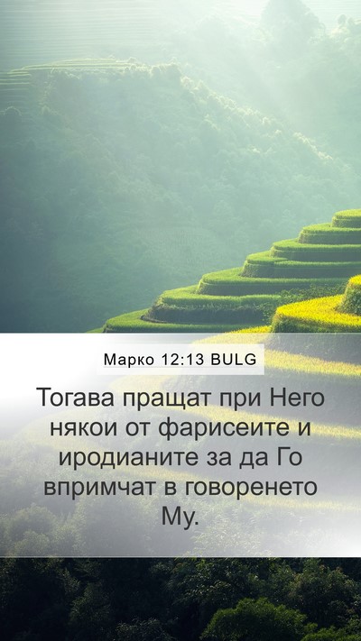 Марко 12:13 BULG Bible Verse Image