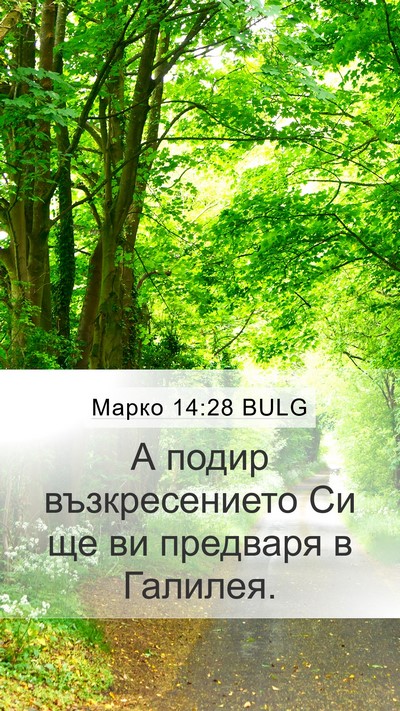 Марко 14:28 BULG Mobile Phone Wallpaper - А подир възкресението Си - Mobile Bible Verse Wallpaper