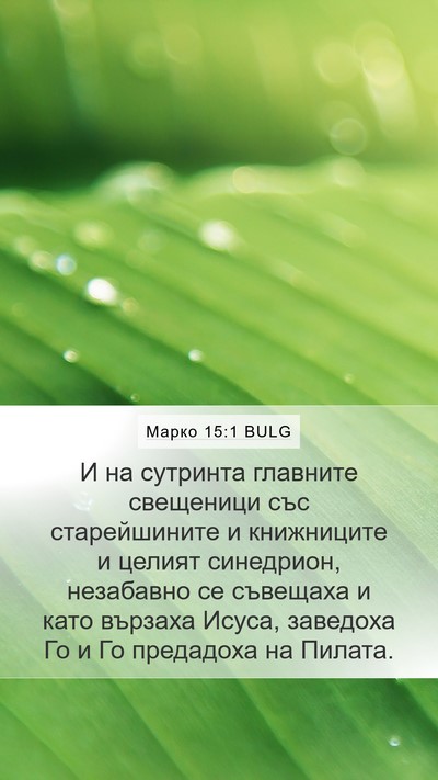 Марко 15:1 BULG Bible Verse Image