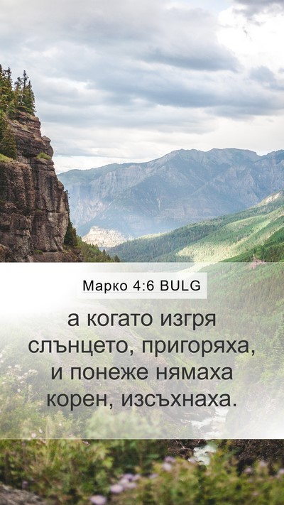 Марко 4:6 BULG Bible Verse Image