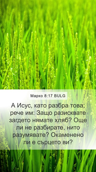 Марко 8:17 BULG Bible Verse Image
