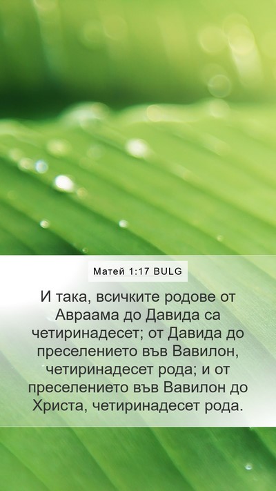 Матей 1:17 BULG Bible Verse Image