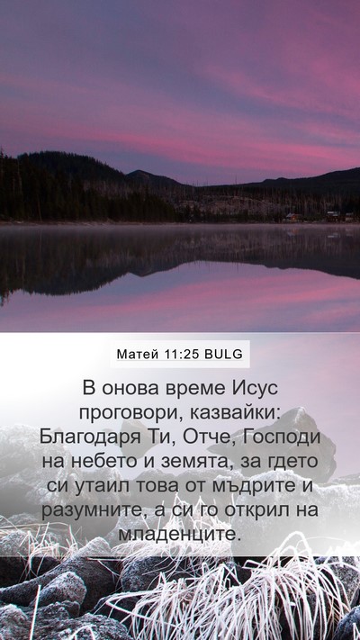 Матей 11:25 BULG Bible Verse Image