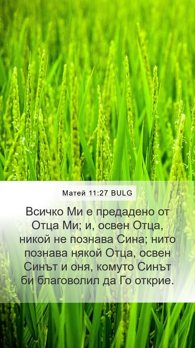 Матей 11:27 BULG Bible Verse Image
