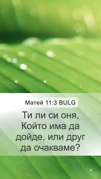 Матей 11:3 BULG Bible Verse Image