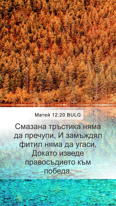 Матей 12:20 BULG Bible Verse Image