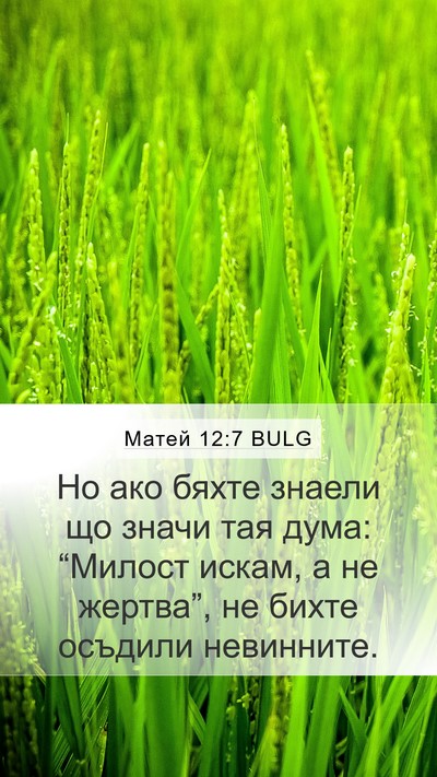 Матей 12:7 BULG Bible Verse Image