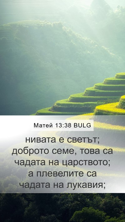 Матей 13:38 BULG Bible Verse Image