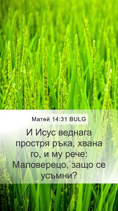 Матей 14:31 BULG Bible Verse Image