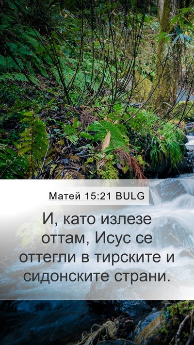 Матей 15:21 BULG Bible Verse Image