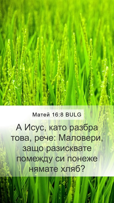 Матей 16:8 BULG Mobile Phone Wallpaper - А Исус, като разбра това, - Mobile Bible Verse Wallpaper