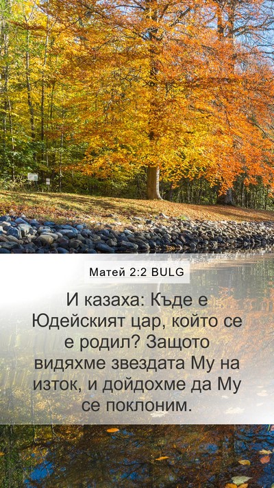 Матей 2:2 BULG Bible Verse Image