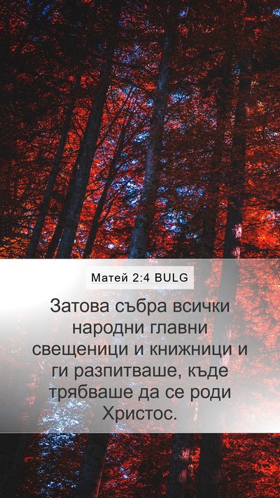 Матей 2:4 BULG Bible Verse Image