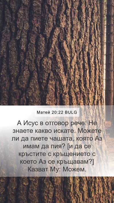 Матей 20:22 BULG Bible Verse Image