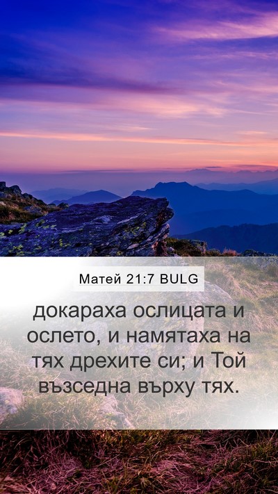 Матей 21:7 BULG Mobile Phone Wallpaper - докараха ослицата и - Mobile Bible Verse Wallpaper