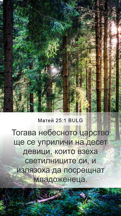 Матей 25:1 BULG Bible Verse Image