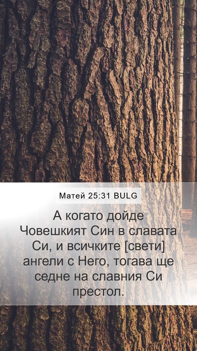 Матей 25:31 BULG Bible Verse Image