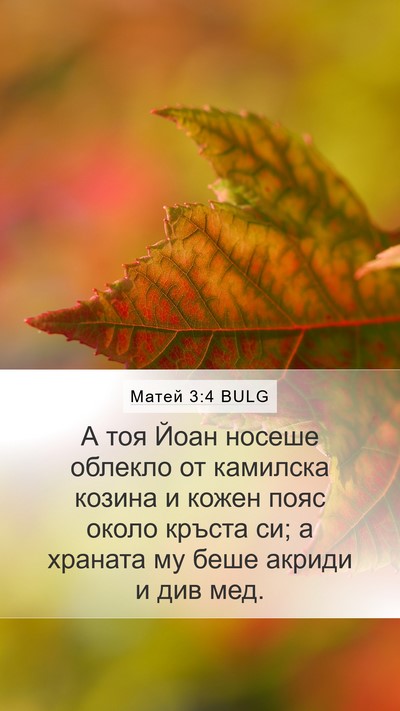 Матей 3:4 BULG Bible Verse Image