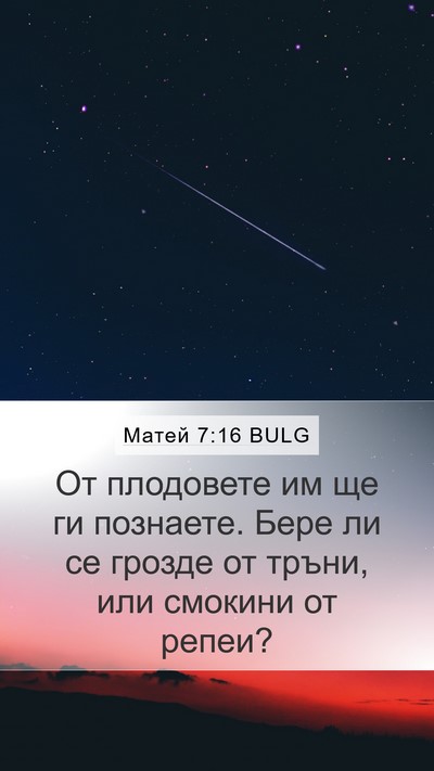 Матей 7:16 BULG Bible Verse Image