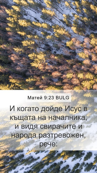 Матей 9:23 BULG Mobile Phone Wallpaper - И когато дойде Исус в - Mobile Bible Verse Wallpaper