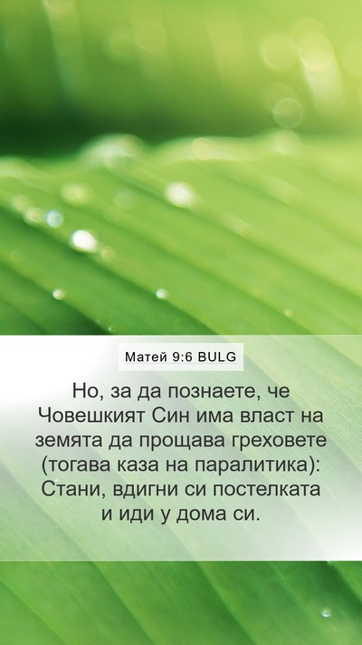 Матей 9:6 BULG Bible Verse Image