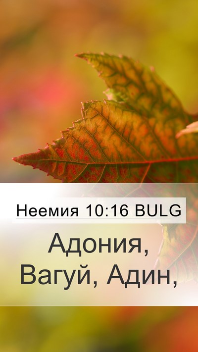 Неемия 10:16 BULG Mobile Phone Wallpaper - Адония, Вагуй, - Mobile Bible Verse Wallpaper