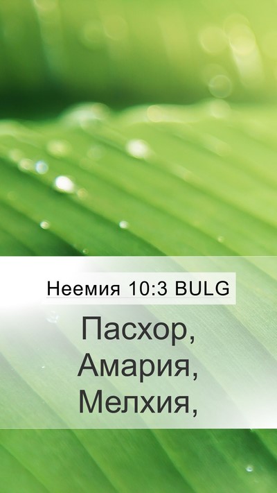 Неемия 10:3 BULG Mobile Phone Wallpaper - Пасхор, Амария, - Mobile Bible Verse Wallpaper