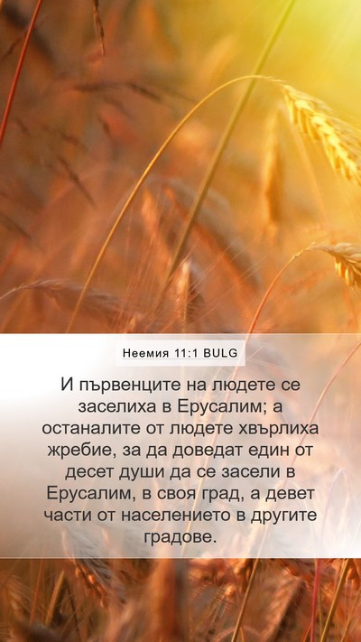 Неемия 11:1 BULG Mobile Phone Wallpaper - И първенците на людете се - Mobile Bible Verse Wallpaper