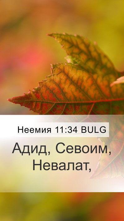 Неемия 11:34 BULG Bible Verse Image