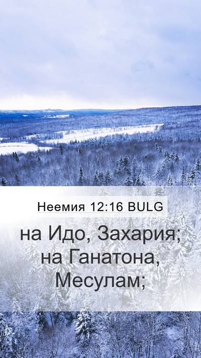 Неемия 12:16 BULG Bible Verse Image