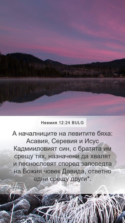 Неемия 12:24 BULG Bible Verse Image