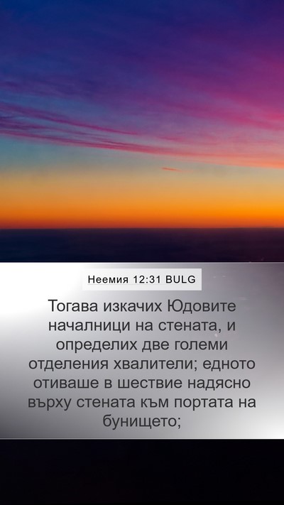 Неемия 12:31 BULG Bible Verse Image
