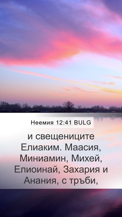 Неемия 12:41 BULG Bible Verse Image