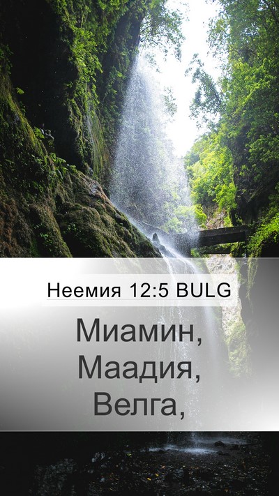 Неемия 12:5 BULG Bible Verse Image