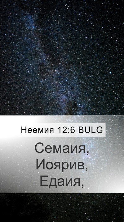 Неемия 12:6 BULG Bible Verse Image