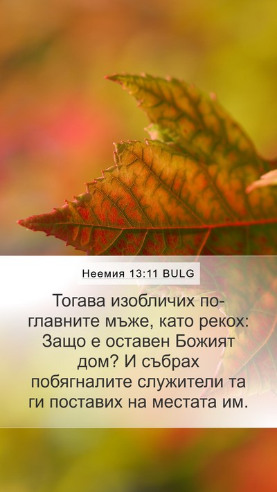Неемия 13:11 BULG Mobile Phone Wallpaper - Тогава изобличих - Mobile Bible Verse Wallpaper