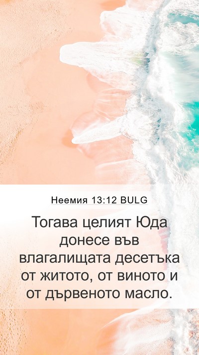 Неемия 13:12 BULG Bible Verse Image
