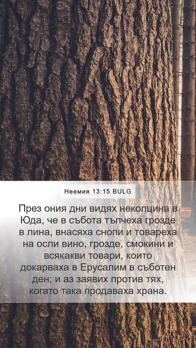 Неемия 13:15 BULG Bible Verse Image