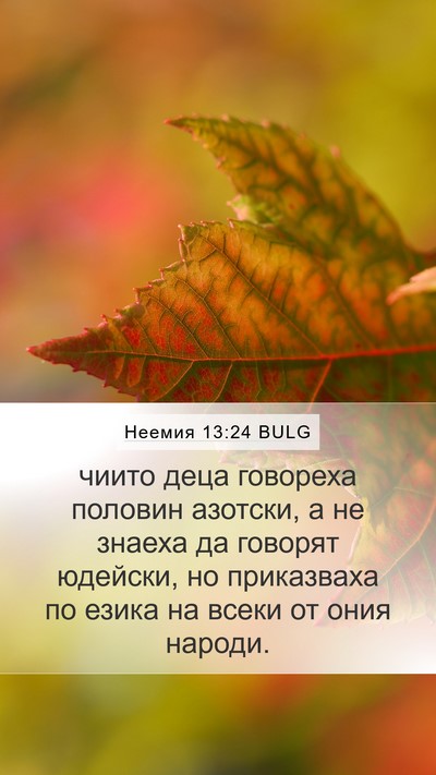 Неемия 13:24 BULG Bible Verse Image