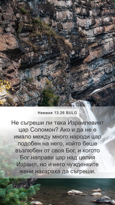Неемия 13:26 BULG Bible Verse Image