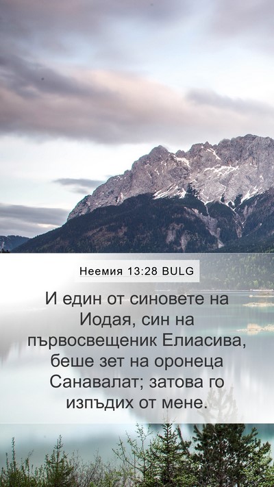 Неемия 13:28 BULG Bible Verse Image