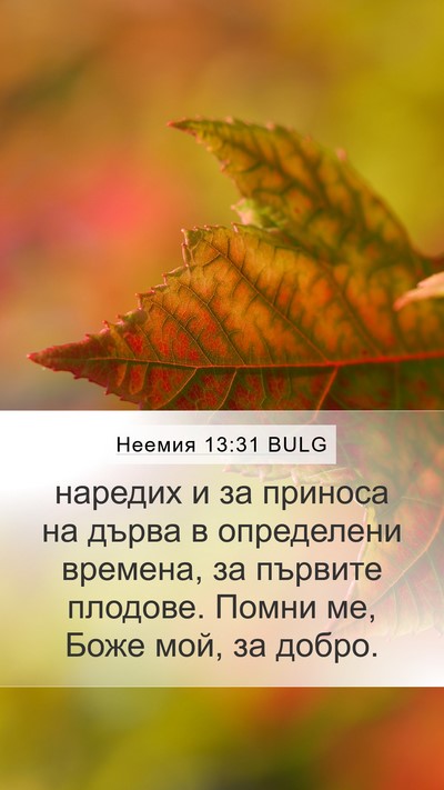 Неемия 13:31 BULG Mobile Phone Wallpaper - наредих и за приноса на - Mobile Bible Verse Wallpaper