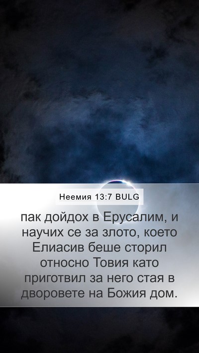 Неемия 13:7 BULG Mobile Phone Wallpaper - пак дойдох в Ерусалим, и - Mobile Bible Verse Wallpaper
