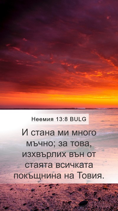 Неемия 13:8 BULG Mobile Phone Wallpaper - И стана ми много мъчно; за - Mobile Bible Verse Wallpaper