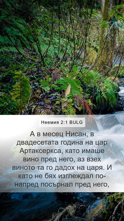 Неемия 2:1 BULG Bible Verse Image